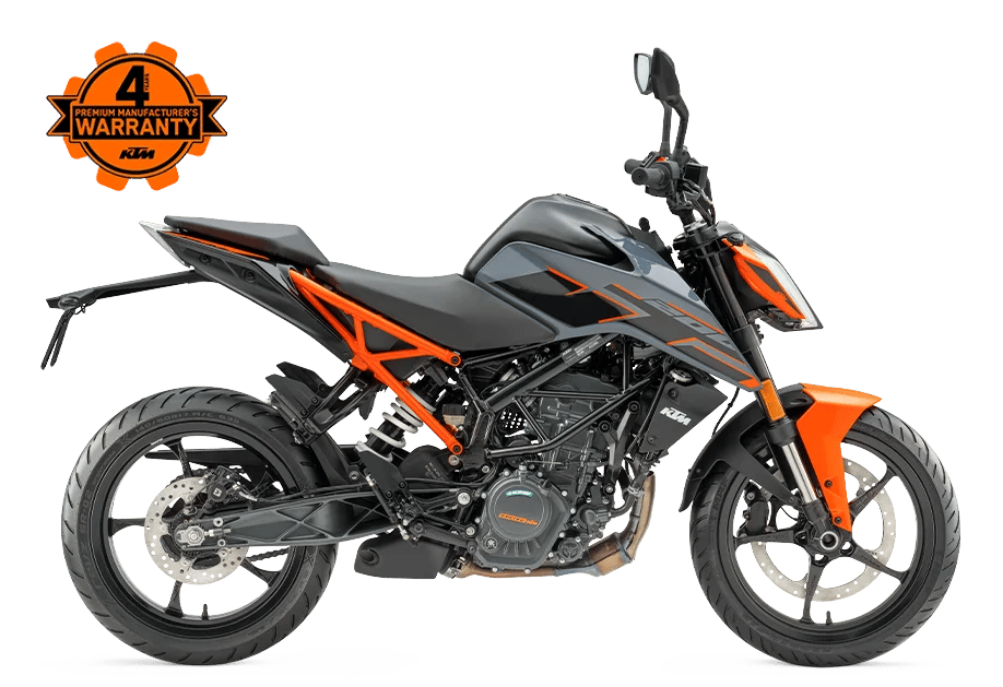 200 Duke | THE LIGHT HEAVYWEIGHT
